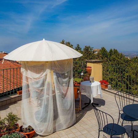 B&B Buonfiglio Cicconcelli - Terrazza Panoramica Frascati Exterior photo